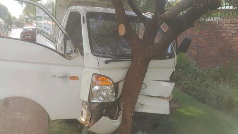 Vehicle crashes into tree while swerving to evade car driven out of ...