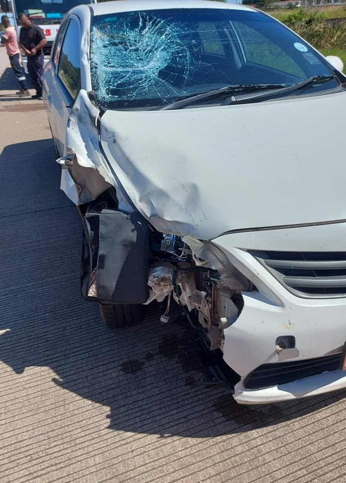 Pedestrian killed - N2 near Shakas Rock