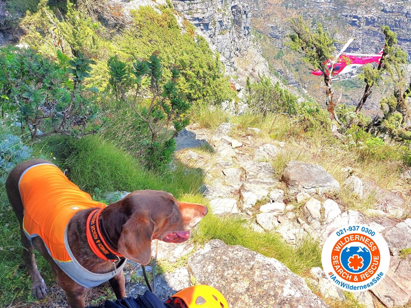 Missing hiker found deceased on Table Mountain - Arrive Alive