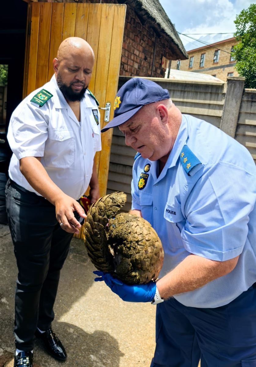 Suspects arrested after they were found in the possession of a Ground ...
