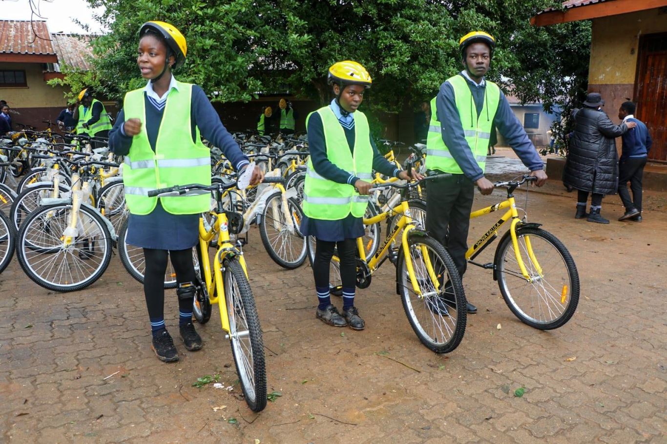 Violet Mathye Limpopo MEC for Transport and Community Safety, Ms. Violet Mathye, is ...