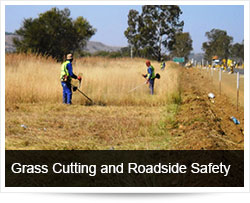 Grass Cutting, Roadside Maintenance and Safety