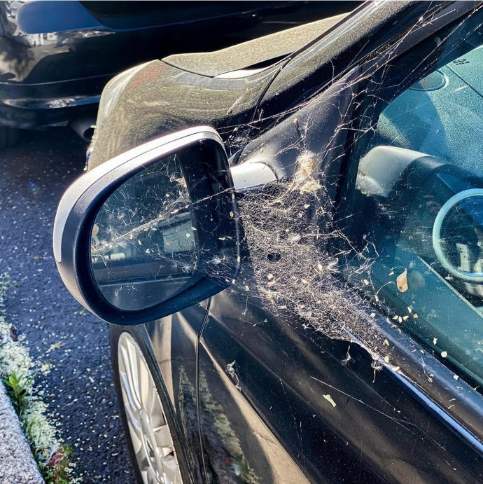 Insurance for the driver returning after a long break from driving
