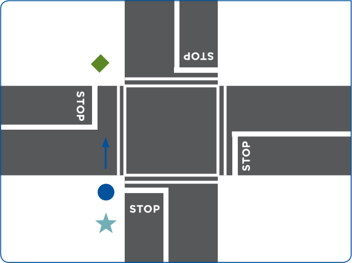 Fig 4: Type D Crossing