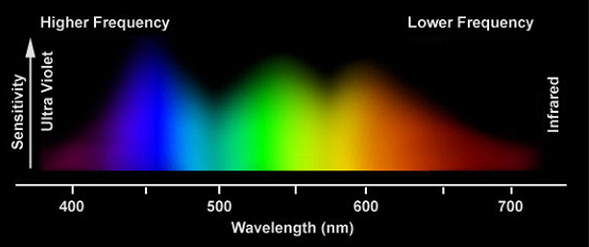 Lighting Types