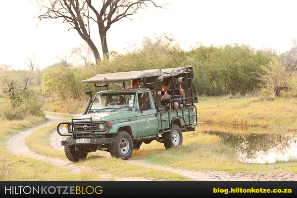 safari vehicle safety